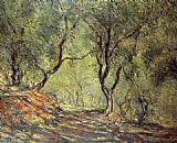 Tree Canvas Paintings - The Olive Tree Wood in the Moreno Garden
